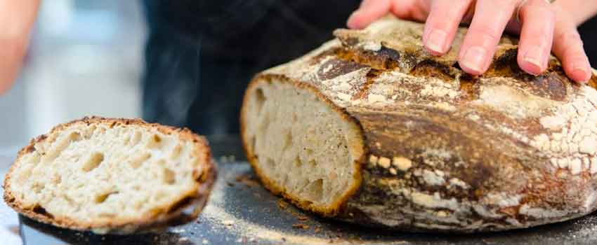 Your Sourdough Bread Questions, Answered Here.