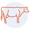 Gourmandise School - Cooking Meats - steak icon