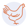 Gourmandise School - Cooking Meats - poultry icon