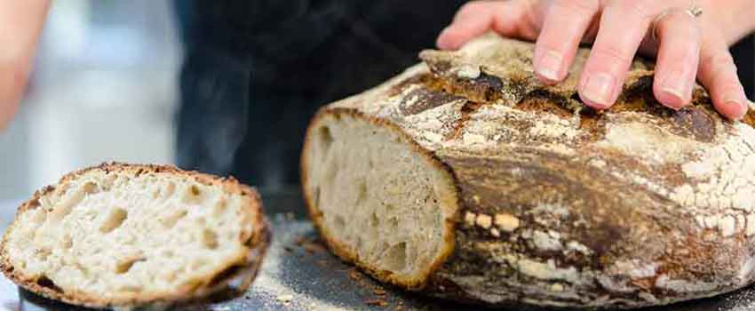 Bread Camp Day 6 & 7: Sourdough Bread