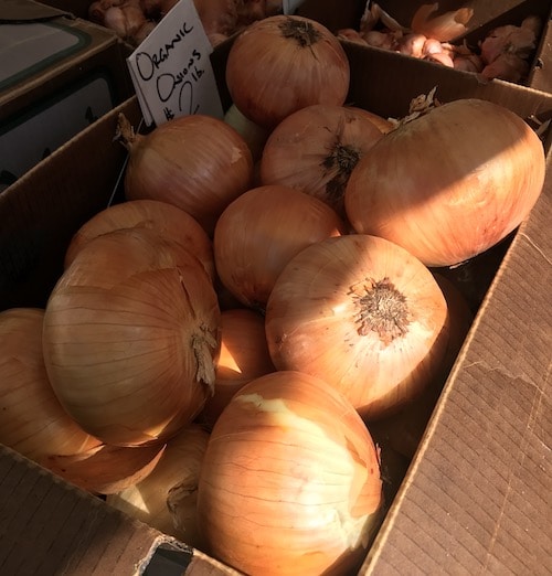 farmers market fresh onions