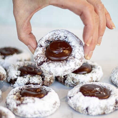 chocolate mint crinkle cookies